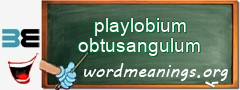 WordMeaning blackboard for playlobium obtusangulum